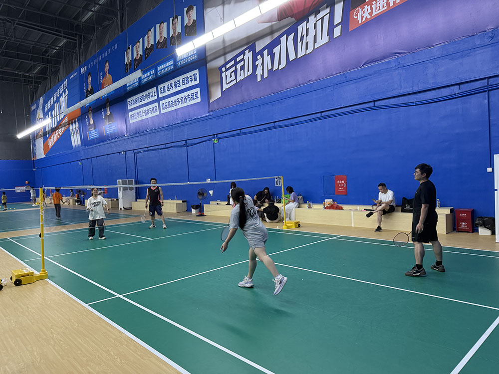 Double-person badminton