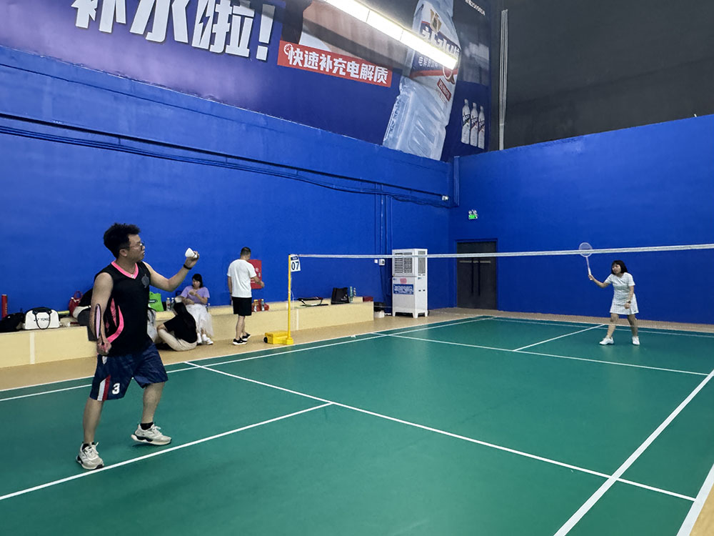 Badminton singles